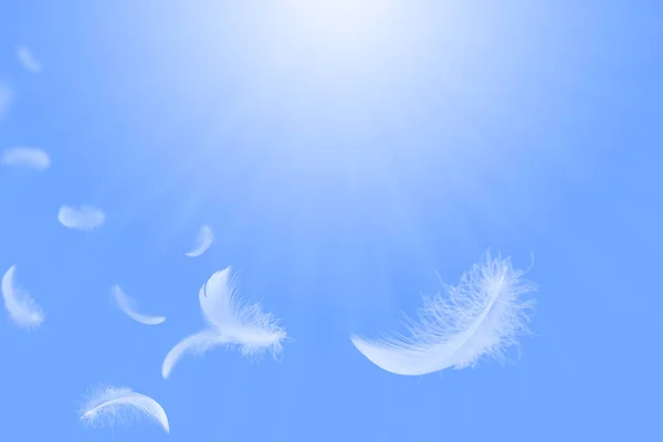 Suavidade Abstrata Pena Pássaro Branco Flutuando Céu Azul Penas Voando — Fotografia de Stock