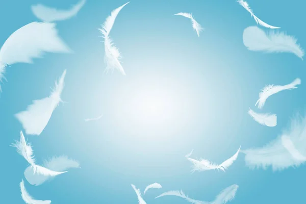 Abstract Group of White Bird Feathers Flying in The Sky