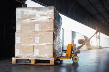 Paket Kutuları Paletlere Paketlenmiş Kargo Konteynırına Yükleniyor. Kamyonlar yükleme deposunda. Nakliye Zinciri Sevkiyatı. Nakliye Aracı Lojistik Kargo Taşımacılığı