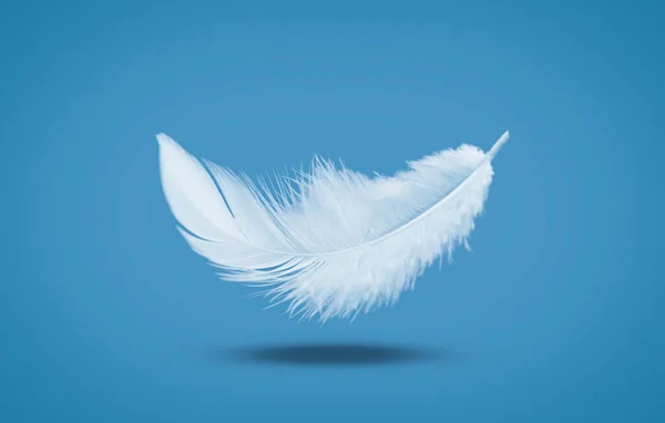 Abstrato Pena Pássaro Branco Caindo Pena Flutuante — Fotografia de Stock