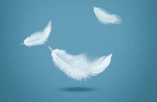 Plumas Abstractas Pájaro Blanco Cayendo Aire Plumas Flotando Cielo —  Fotos de Stock