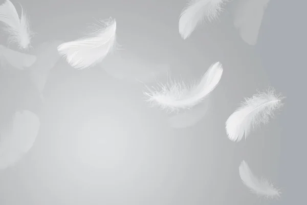 Piume Astratte Uccello Bianco Che Cadono Aria Piume Galleggianti Celeste — Foto Stock
