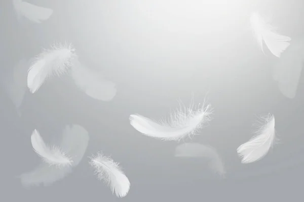 Penas Pássaro Branco Abstrato Caindo Céu Penas Flutuando Céu — Fotografia de Stock