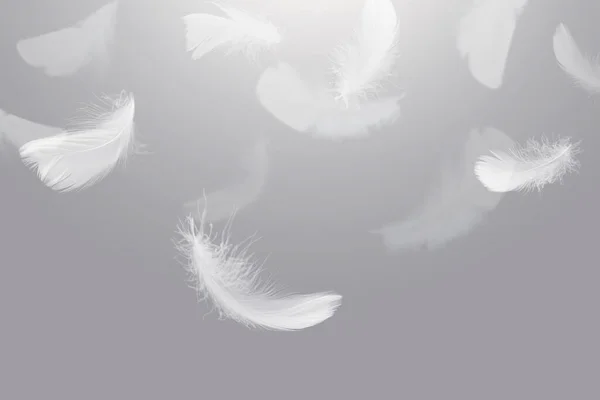 概要空に落ちる白い鳥の羽 天に浮かぶ羽 — ストック写真