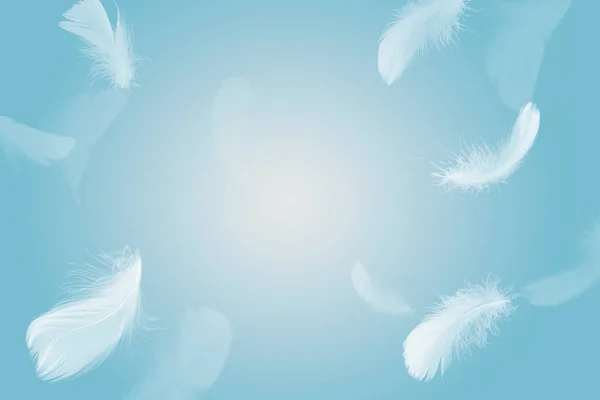 概要空を飛ぶ白い鳥の羽 天に浮かぶ羽 — ストック写真