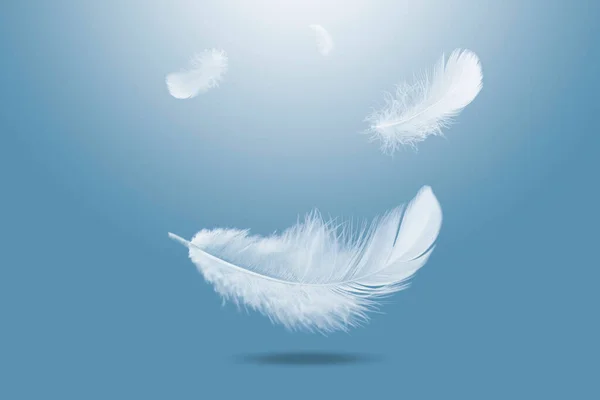 Plumas Abstractas Pájaro Blanco Cayendo Aire Plumas Flotantes Cielo — Foto de Stock