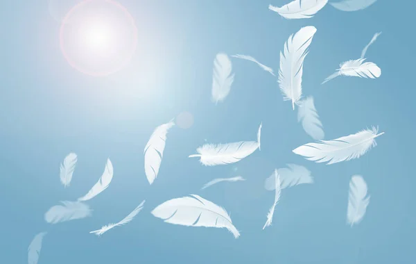 Abstract Group White Bird Feathers Flying Sky Plumas Flotando Cielo —  Fotos de Stock