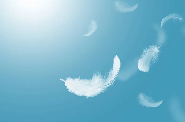 Abstraktní Nadýchané Bílé Ptačí Peří Padající Obloze Peří Vznášející Nebi — Stock fotografie