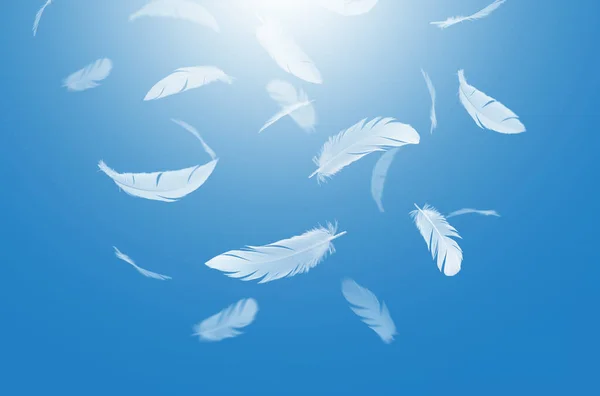 Abstrait White Bird Feathers Falling Sky Plumes Flottant Dans Ciel — Photo