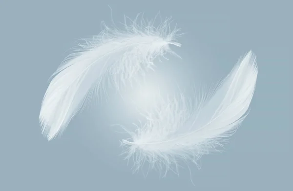 抽象的な白鳥の羽が空に落ちる 羽の柔らかさ 浮かぶ白い羽 — ストック写真