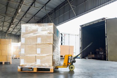 Paket Kutuları Paletlere Paketlenmiş Plastik Kargo Konteynerine Yükleniyor. Malzeme sevkiyatı, tedarik zinciri, ticaret malları, dağıtım deposu nakliyesi. Nakliye Aracı Lojistik, Kargo Taşımacılığı.