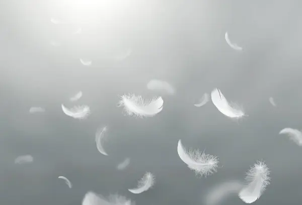 抽象的な白鳥の羽が空に浮かんでいる 羽の柔らかさ 落下する白い羽 — ストック写真