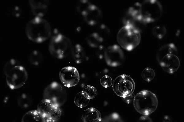 Beautiful Transparent Soap Bubbles Floating in The Air. Refreshing of Soap Sud Bubbles Water. Abstract Background.