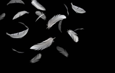 Soyut Beyaz Kuş Tüyleri Havaya Düşüyor. Kara Arkaplanda Yüzen Tüyler.