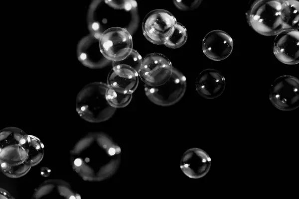 Beautiful Transparent Soap Bubbles Floating in The Air.  Abstract Background. Soap Sud Bubbles Water on Black.