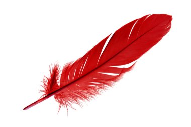 Kızıl Baba beyaz arka planda izole edildi.