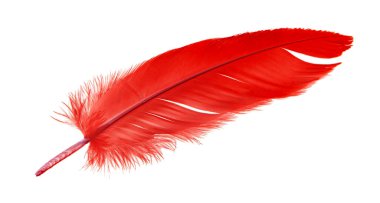 Kızıl Baba beyaz arka planda izole edildi.