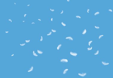 Soyut Beyaz Kuş Tüyleri Havaya Düşüyor. Yüzen Tüyler. Mavi Arkaplanda Tüy Yumuşaklığı.