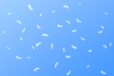 Soyut Birçok Beyaz Kuş Tüyleri Mavi Gökte Yüzüyor. Tüylerin Yumuşaklığı Cennete düşüyor.