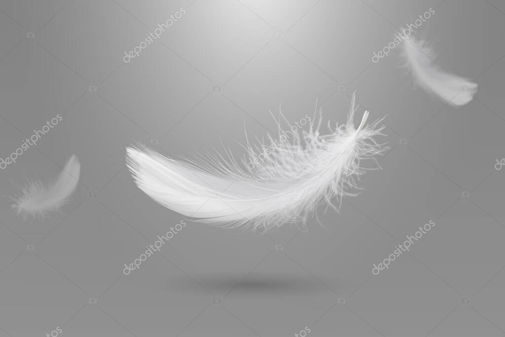 Abstract White Bird Feathers Falling in The Air. Fluffy Downy, Peace. Softness of Floating Feathers. Feather on Gray Background.