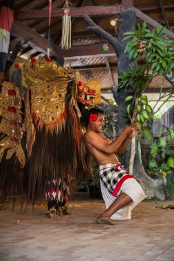 Bali - Endonezya - 10.22.2015: Renkli geleneksel giysiler içinde kendini bir hançerle bıçaklamış gibi yapan erkek bir balerin