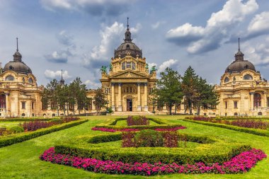 Budapeşte-Macaristan terapisi. Macaristan, Budapeşte 'de ünlü Szechenyi Termal Hamamları. İyi eğlenceler ve banyo yapın. Önplanda çiçekler