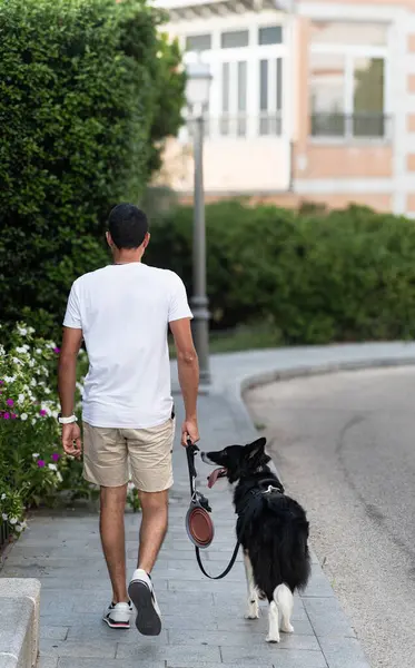 Bir adam köpeğini kaldırımda gezdiriyor. Köpek siyah ve beyaz ve tasma takıyor. Sahne sakin ve sakin, adamla