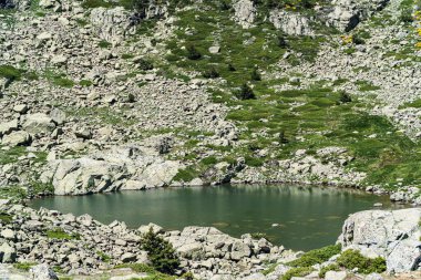 Küçük bir göl kayalar ve otlarla çevrilidir. Su berrak ve sakin. Sahnede ne insan ne de hayvan var.