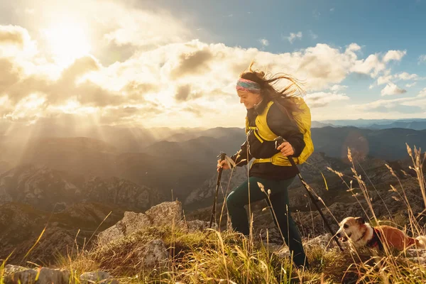 バックパックと暖かい服とトレッキングポールを装備した白人女性は日没時に山の上で犬と一緒にハイキングします アウトドアスポーツや冒険 — ストック写真