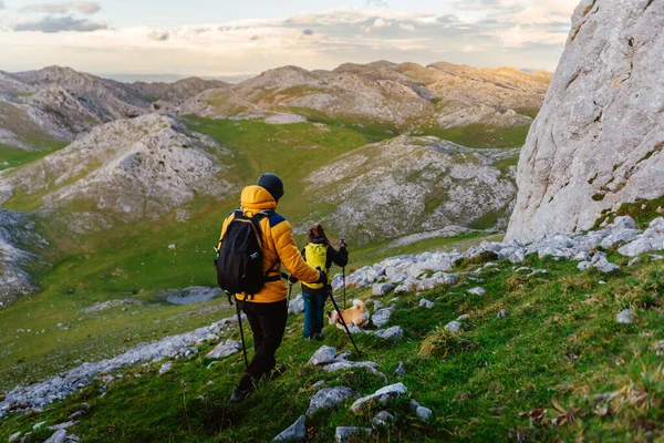 stock image couple of hikers with their dog contemplating a green valley and the mountains. mountaineers descending a mountain equipped with trekking poles and backpacks. outdoor sport.