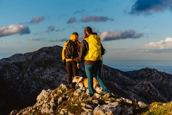 Couple Alpinistes Avec Chien Randonnée Sommet Une Montagne Randonneurs Équipés — Photo