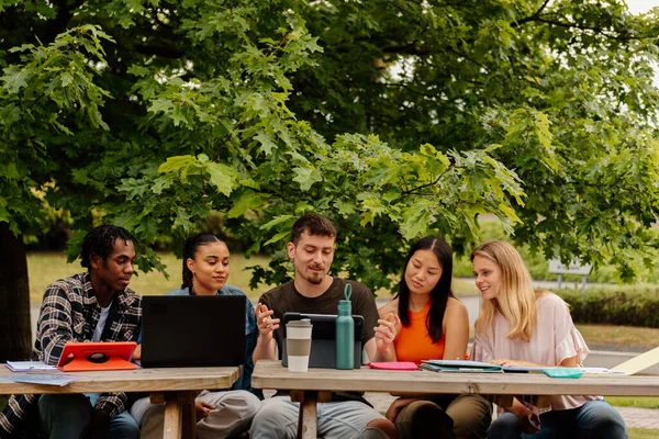 Bir Üniversite Projesinde Birlikte Çalışan Çok Irklı Bir Grup Öğrenci — Stok fotoğraf