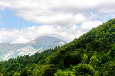 Dağ manzarası, kayın ormanlarıyla redes doğal parkı, asturias, İspanya
