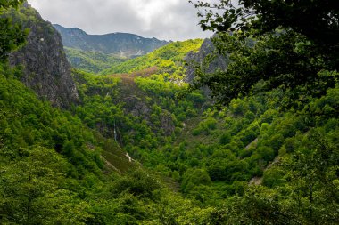 Bereketli kayın ormanları ve şelaleleri olan dağ manzarası. Redes doğal parkında Mongayu şelalesi, Asturias, İspanya, Avrupa.