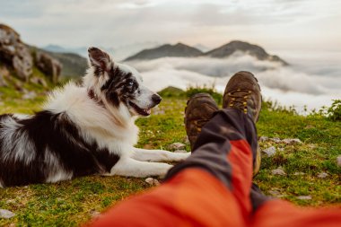 Dağlarda bir dağ çoban köpeğiyle bir dağcının birinci şahıs görüntüsü. Spor, yürüyüş ve macera. köpekle seyahat et