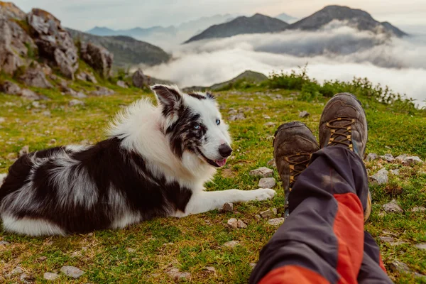 stock image Mountaineer sitting on the ground next to his border collie dog watching the sunset after a day of trekking in the mountains.