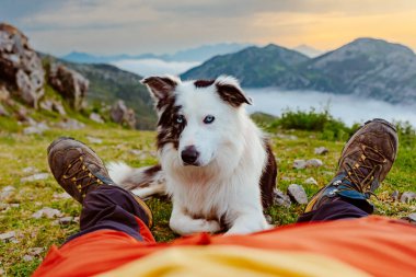 Tanınmayan bir dağcının, sınırdaki çoban köpeğiyle birlikte dağda gün batımını seyrederken ilk kişi görüntüsü.