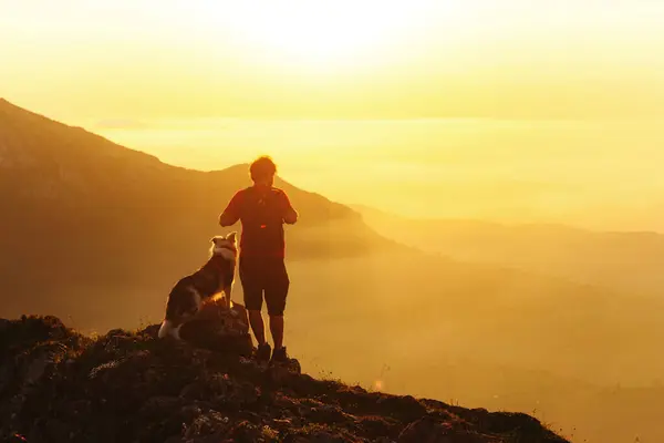 young man with his border collie breed dog, in the mountains contemplating the sunset. Person hiking with his pet. Outdoor sports and adventure