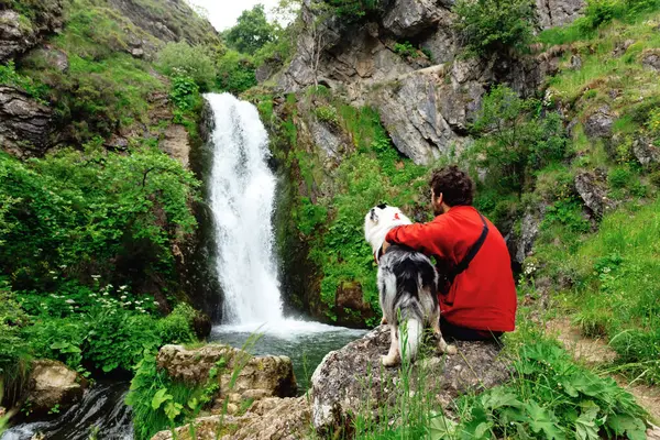 person sitting on a rock with his border collie dog contemplating a waterfall in a forest. Traveling with a pet. Adventure.