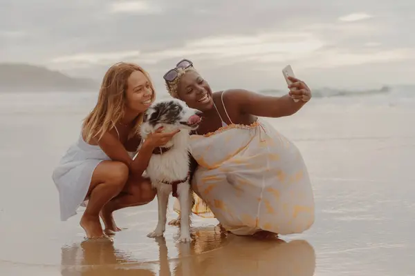 Two girls, one Latina and the other black, take photos with their smartphone and with their border collie dog on the shore of the beach. Summer trip.