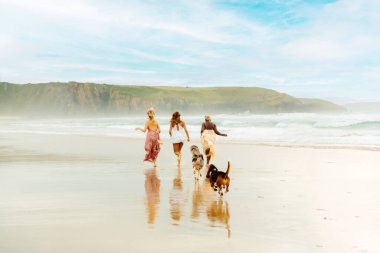 Bir grup arkadaş köpekleriyle sahilin kıyısında koşuyorlar. Birlikte yaz gününün tadını çıkaran çok ırklı bir grup genç kadın..