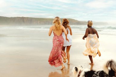 Üç kız bir köpekle plajda bir yaz gününün tadını çıkarıyor. Kıyı boyunca dolaşan çok ırklı bir grup kadın. yaz gezisi.