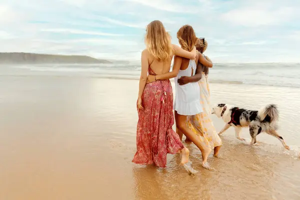 group of three girls and a dog stroll along the seashore enjoying a summer day. summer travel with friends