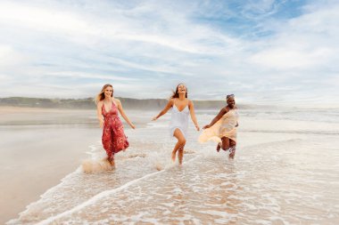 Farklı ırktan ve boyutlarda üç kızdan oluşan çok ırklı bir grup kumsalda birlikte koşmaktan zevk alıyor. Arkadaşlar arasında yaz gezisi.