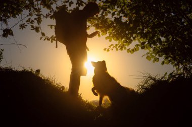 Genç erkek yürüyüşçü gün batımında ormanda yürüyüş yaparken çoban köpeğini eğitiyor..
