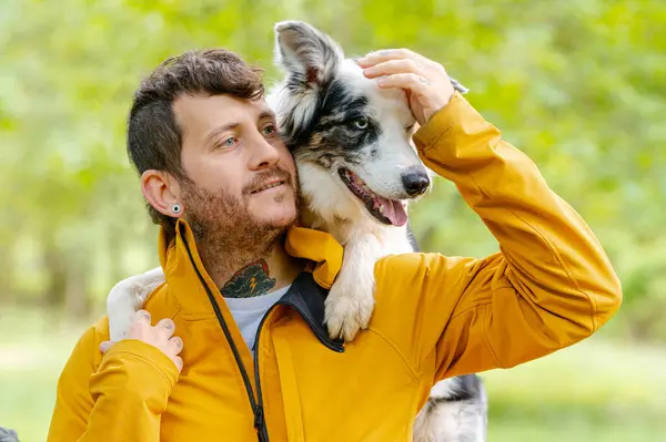 Mavi gözlü sınır köpeği sahibinin omuzlarında