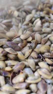 Bir restoranda ızgara yapılan coquinas (midyeye benzer küçük yumuşakçalar).