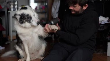 Sahibi banyodan sonra köpeğini kurutuyor.