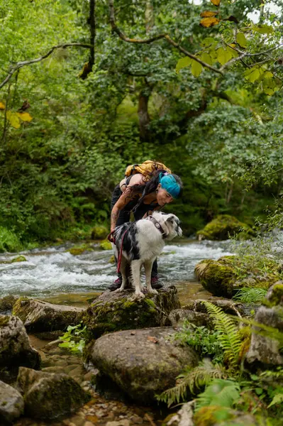 Yürüyüşçü ormandaki bir nehri geçerken sınır köpeği ile mola veriyor. Doğanın huzurunun tadını çıkarıyor.