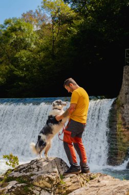 Asterias, İspanya 'daki bir şelalenin yakınındaki kayalarda durup yaz yolculuğunun keyfini çıkarırken sınırdaki çoban köpeğini tutan yürüyüşçü. Cangas de Onis, Asturias, İspanya.